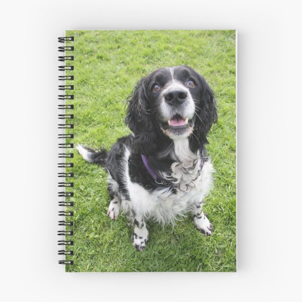 Item preview, Jasper says 'is it for me?' designed and sold by Latch Farm  Studios.