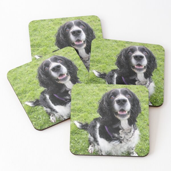 Item preview, Jasper says 'is it for me?' designed and sold by Latch Farm  Studios.