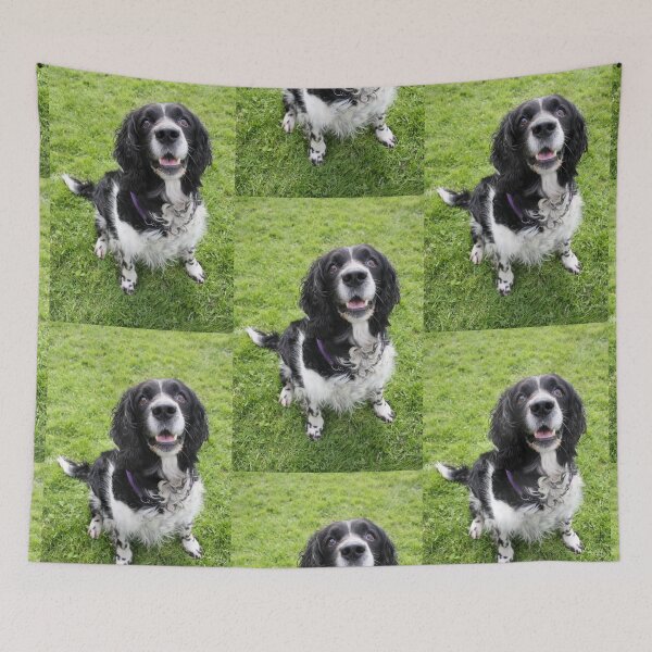 Item preview, Jasper says 'is it for me?' designed and sold by Latch Farm  Studios.