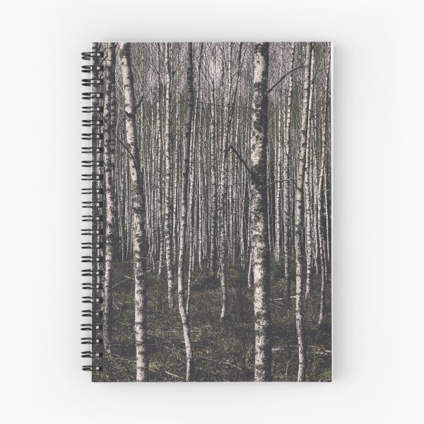 Item preview, Birch trees designed and sold by urbonasphotos.