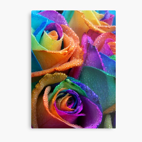 Item preview, Happy Roses designed and sold by fensnapz.