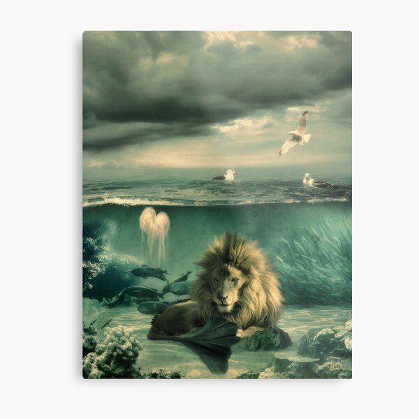Sea Lion Metal Print