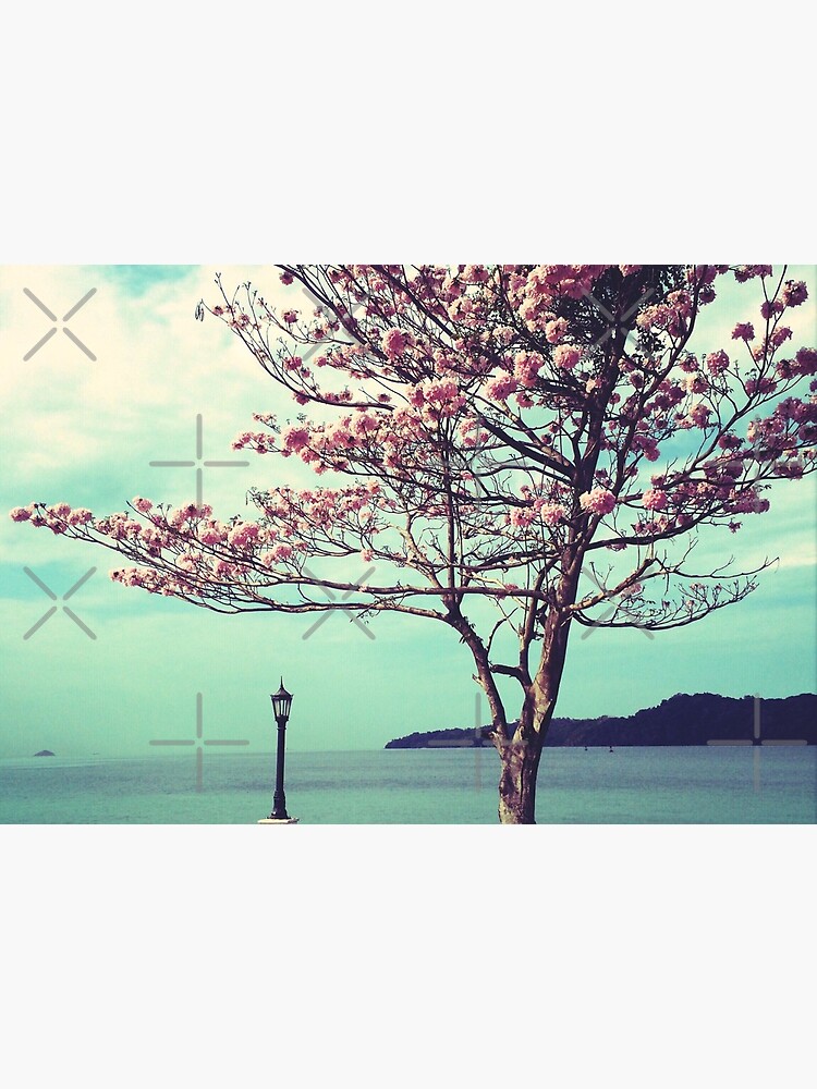 Blooms by the Sea - Panama Landscape - Pink Guayacan Tree by OneDayArt