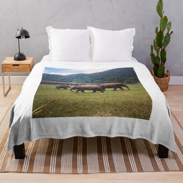 Item preview, Elephants in the Wild designed and sold by Sarah Cockle.