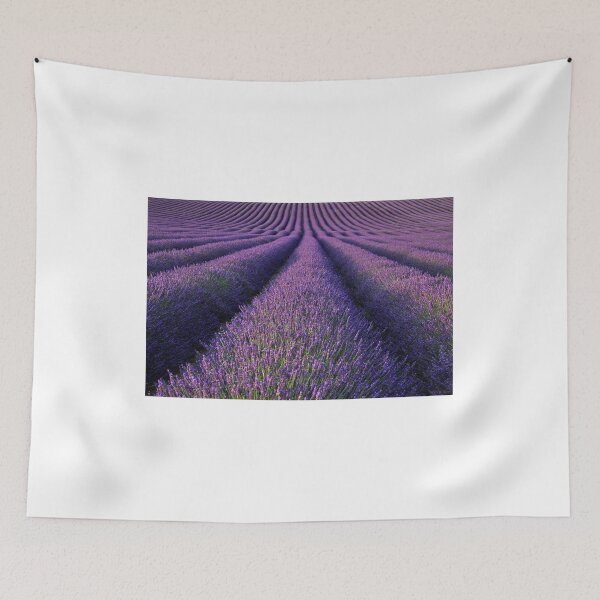 Item preview, Lavender designed and sold by fensnapz.