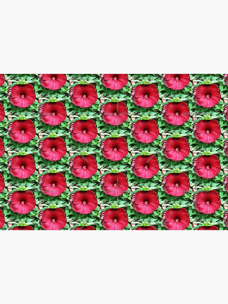 Hibiscus High - Tropical Flower Art Photo by OneDayOneImage - Gift for Gardener - Flower Lover by OneDayArt