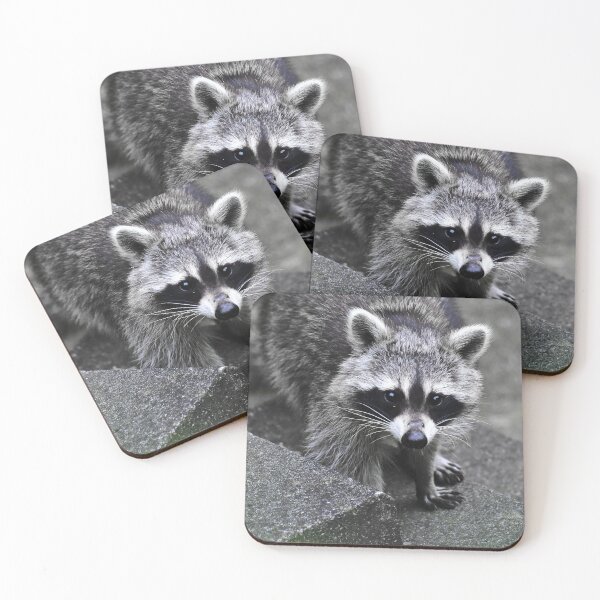 Item preview, racoon designed and sold by Glineur.