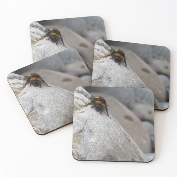 Item preview, Bee On Rock designed and sold by WildandDivine.