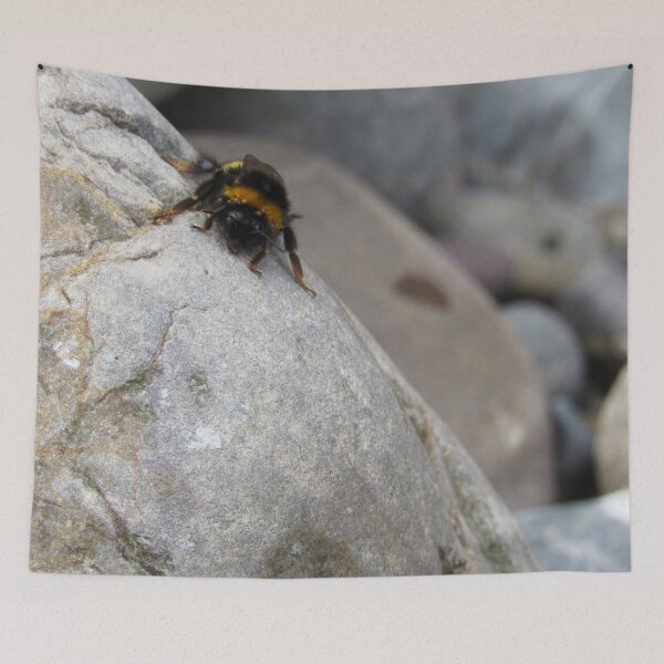 Item preview, Bee On Rock designed and sold by WildandDivine.