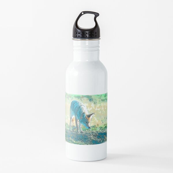 Coyote on the prowl Water Bottle