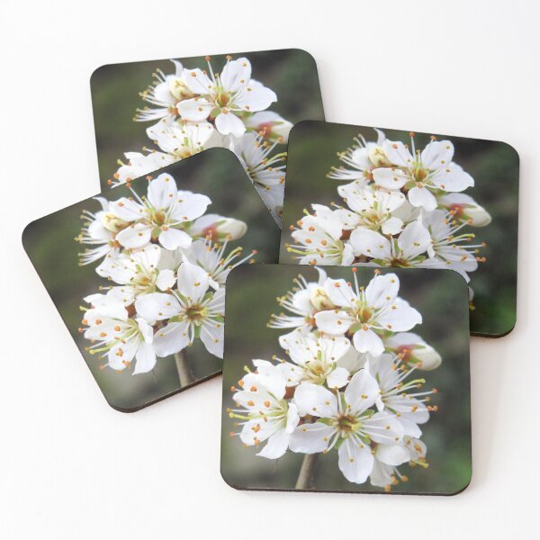 Item preview, spring blossom designed and sold by KathleenDawson.