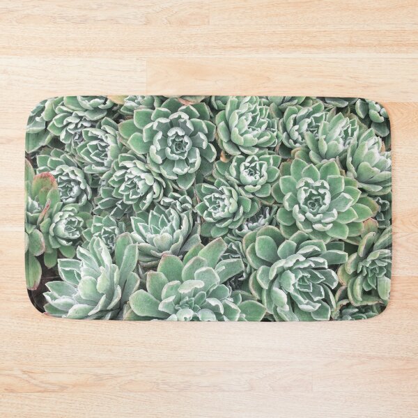 Item preview, Succulent Bed designed and sold by Cassia Beck.