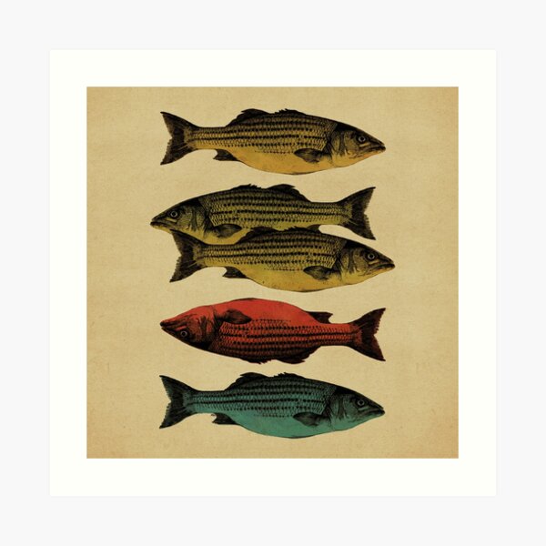 One fish, two fish . . . Art Print