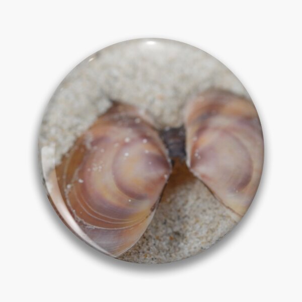 Item preview, Subtle beach beauty designed and sold by eyes4nature.