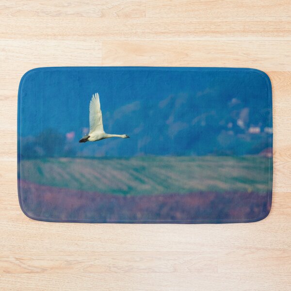 Item preview, Bewick Swan flying designed and sold by Dalyndigital Photography.