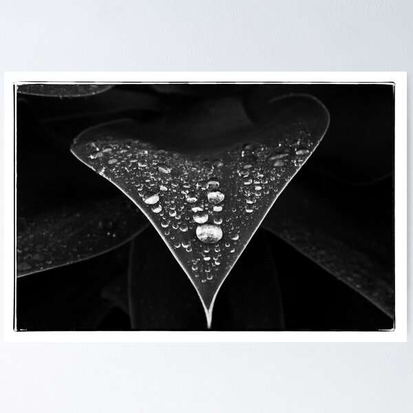Item preview, Winter rain drops designed and sold by David J Baster.
