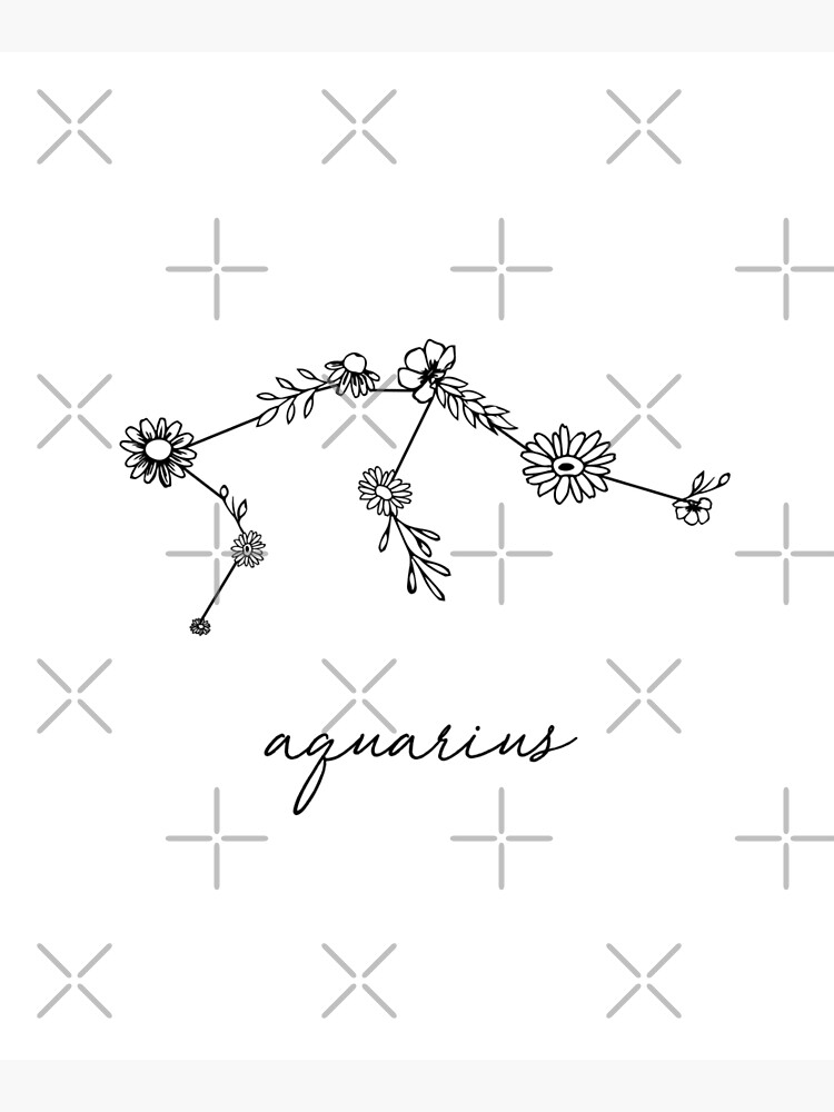 Aquarius Zodiac Wildflower Constellation by aterkaderk