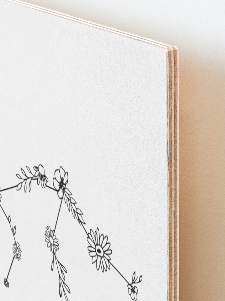 Alternate view of Aquarius Zodiac Wildflower Constellation Mounted Print