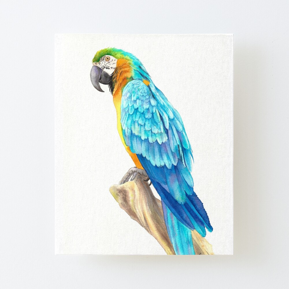 Big Size Digital Printed Canvas Painting Colourful Parrots Print