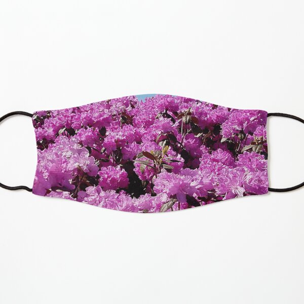 View of "Mount Rhodendron" on a clear day Kids Mask