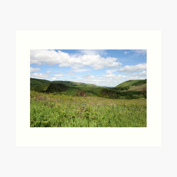 Artikel-Vorschau von Wildflowers and mountains, designt und verkauft von torstar.