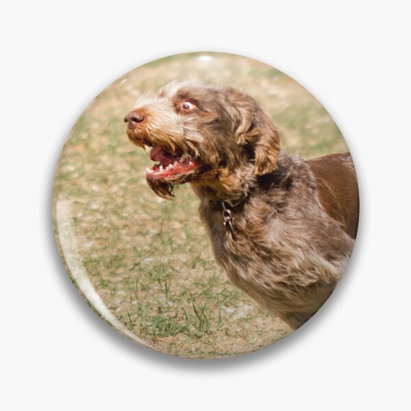 Artikelvorschau, Lauf wie verrückter Spinone entworfen und verkauft von FOLK ART FUSION.