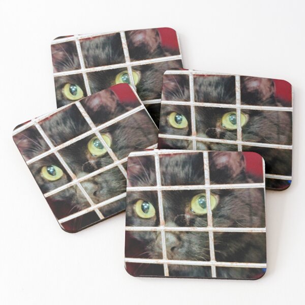 Item preview, Cinder cat w red designed and sold by debravalenti.