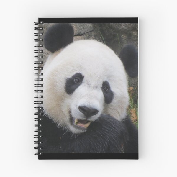 Item preview, Giant Panda Bei Bei at the National Zoo designed and sold by Zoo and Nature Photography by Karie.