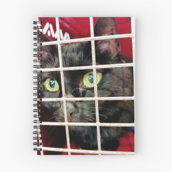 Item preview, Cinder cat w red designed and sold by debravalenti.