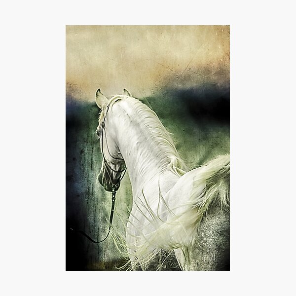 New Year Photographic Print