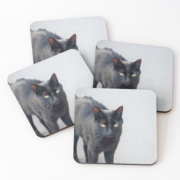 Item preview, Lonely black cat designed and sold by Javier Narváez Solarte.