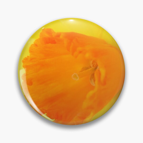 Item preview, Narcissus  'Red Devon'  Division 2 Large-cupped   Daffodil designed and sold by Chris Burrows.
