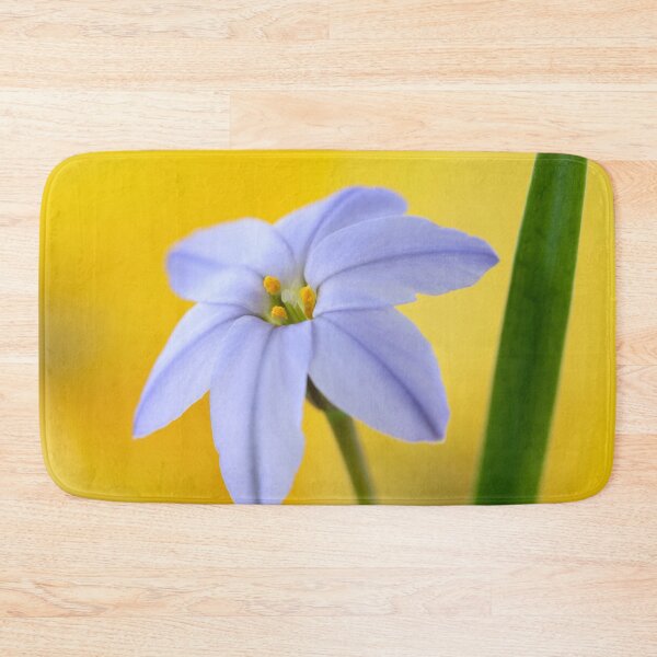 Item preview, Ipheion  'Rolf Fiedler'  AGM  Spring starflower  designed and sold by Chris Burrows.