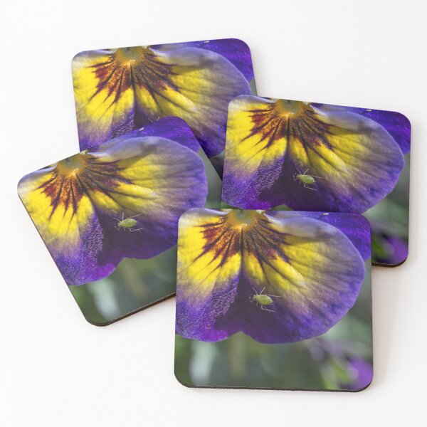 Item preview, Aphid on a pansy designed and sold by Cvail73.