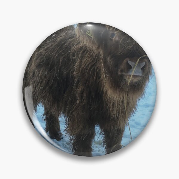 Item preview, Scottish Highland Cattle Calf 1877 designed and sold by SaarelaHighland.
