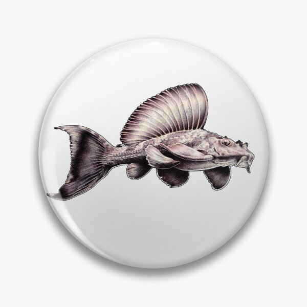 Item preview, Rhino Pleco Ballpoint Drawing designed and sold by Hannah  Schmidt.
