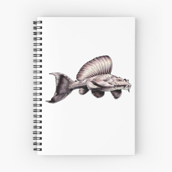 Item preview, Rhino Pleco Ballpoint Drawing designed and sold by Hannah  Schmidt.