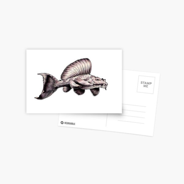 Vista previa del artículo con la obra «Rhino Pleco Ballpoint Drawing», diseñado y vendido por Hannah  Schmidt.