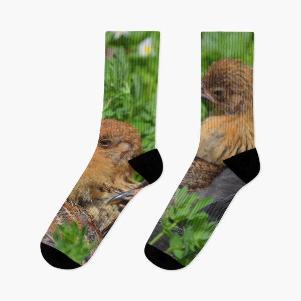 Item preview, Birds of a feather... designed and sold by lizdomett.