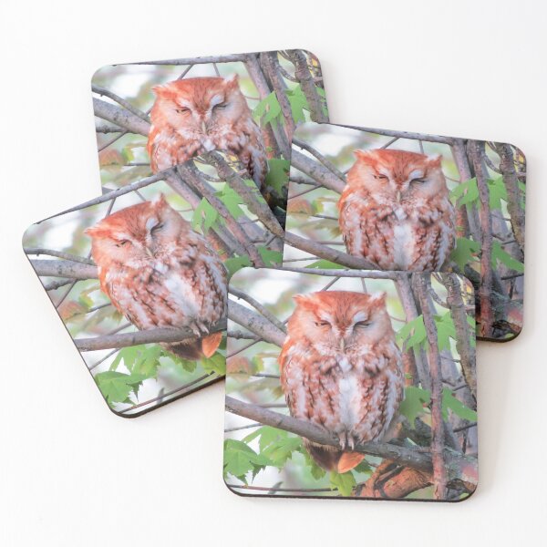 Item preview, Eastern Screech-Owl  designed and sold by Zoo and Nature Photography by Karie.
