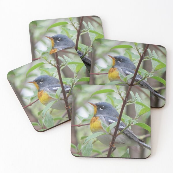 Item preview, Northern Parula designed and sold by Zoo and Nature Photography by Karie.