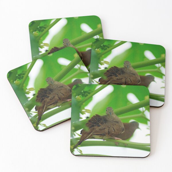 Item preview, kli 2 turlle dove designed and sold by pcfyi.