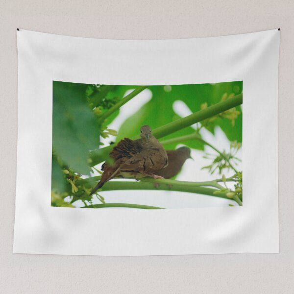 Item preview, kli 2 turlle dove designed and sold by pcfyi.