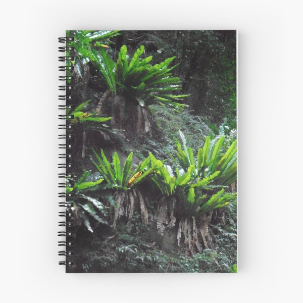 Item preview, Rainforest Beauty, Minnamurra Falls, NSW, Australia. designed and sold by kaysharp.