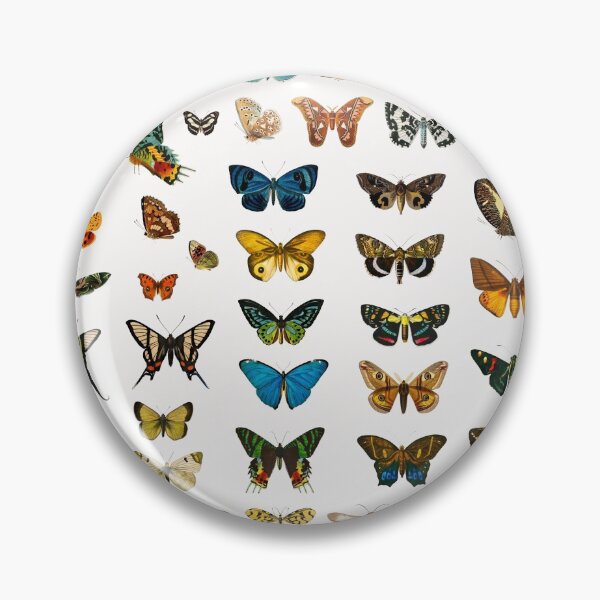 Item preview, Vintage butterfly variety collection print designed and sold by biodivher.
