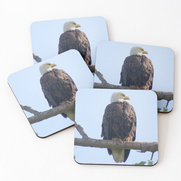 Item preview, Bald Eagle designed and sold by Zoo and Nature Photography by Karie.