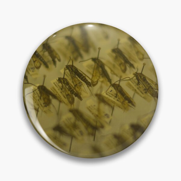 Item preview, Sesiidae designed and sold by ekheart.