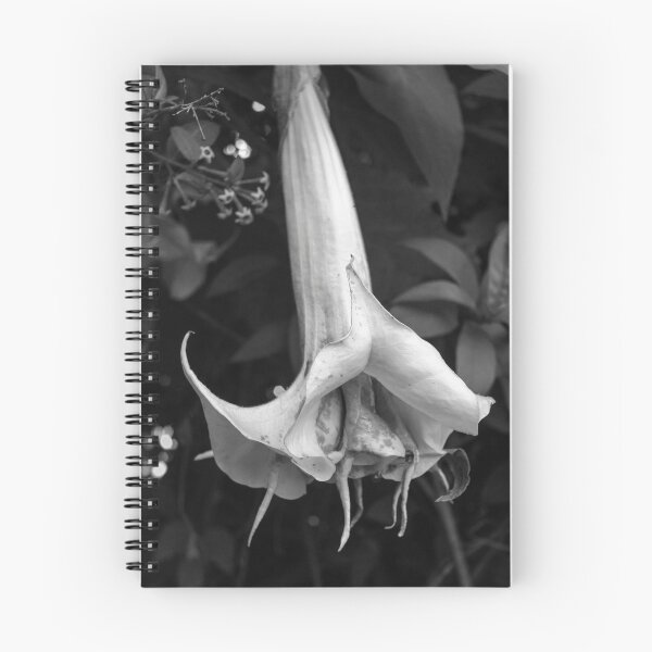 Item preview, Datura Flower designed and sold by Andrew  Makowiecki.