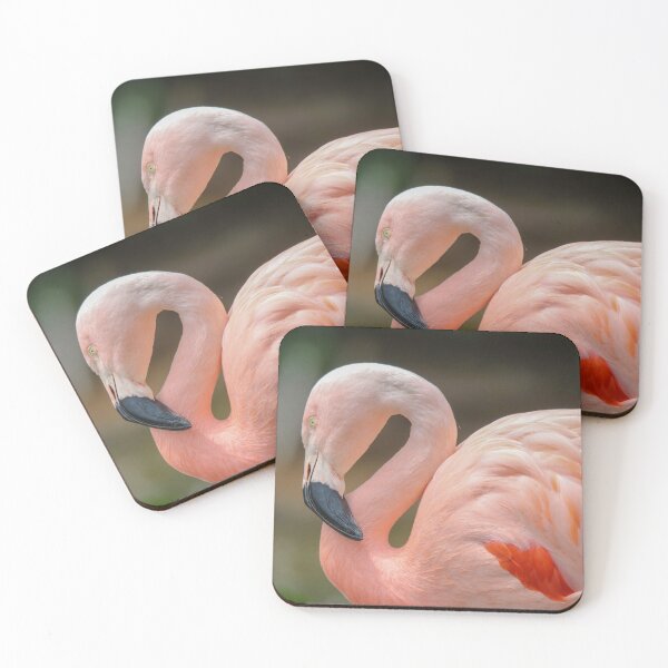 Item preview, Chilean Flamingo Portrait designed and sold by Susan Rydberg.