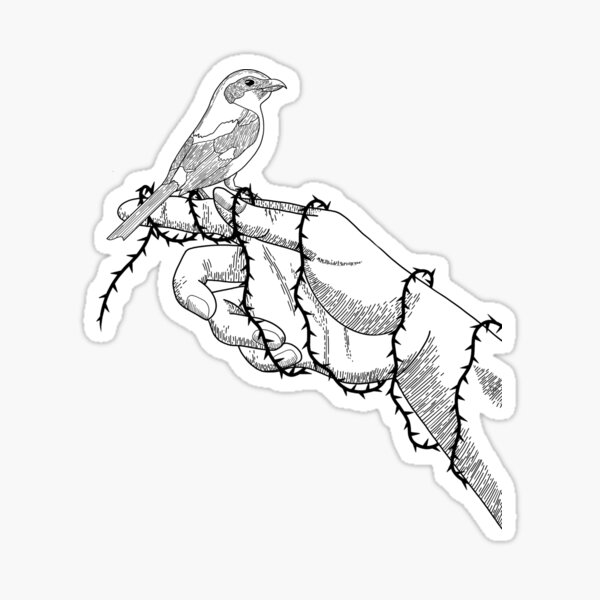 Shrike Sticker
